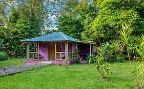 Casa Lavanda In Tropical Jungle Garden